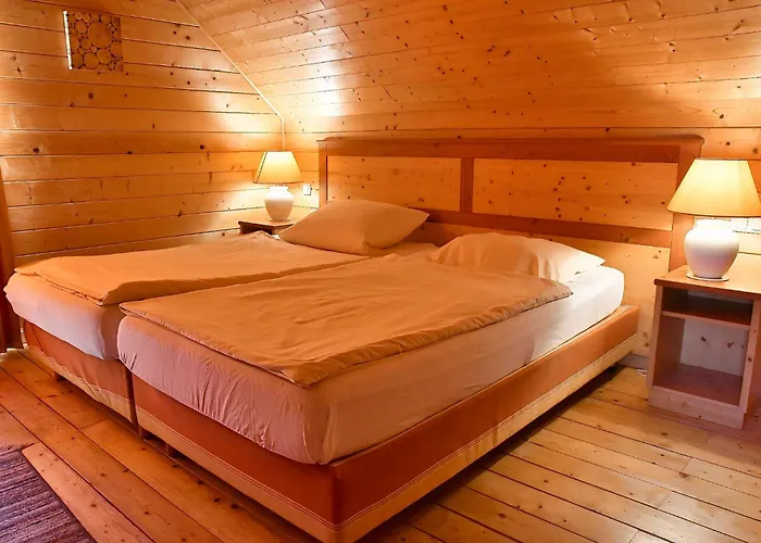 Auerhahn Ferienhaeuser Auerhahn 509 Tatil Evi Hasselfelde